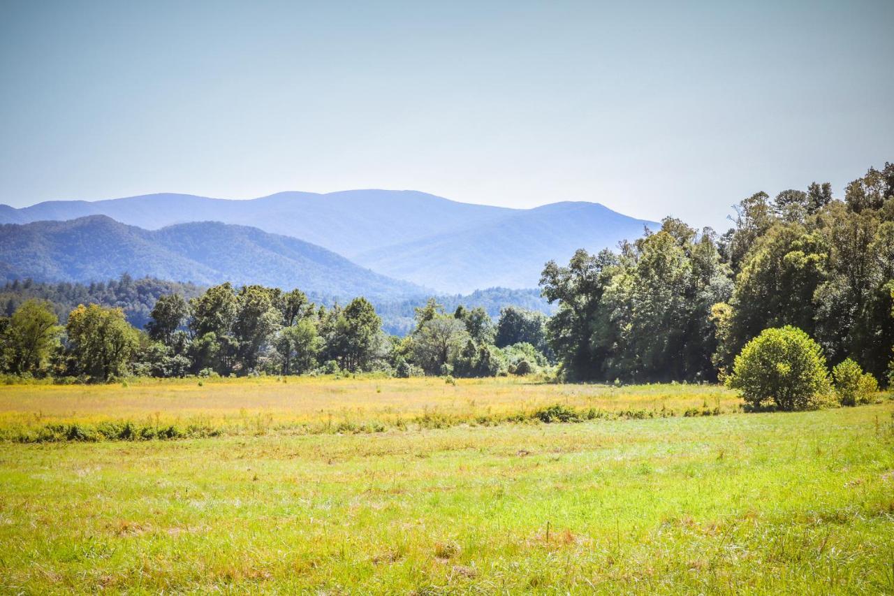 Pine Cone Ridge * Sevierville